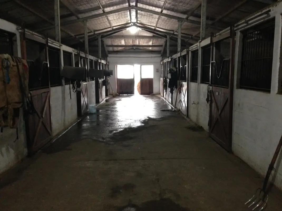 Pasillo de boxes del haras