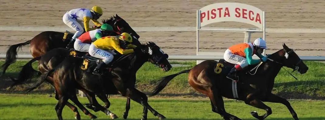 Pelotón de caballos en pista seca